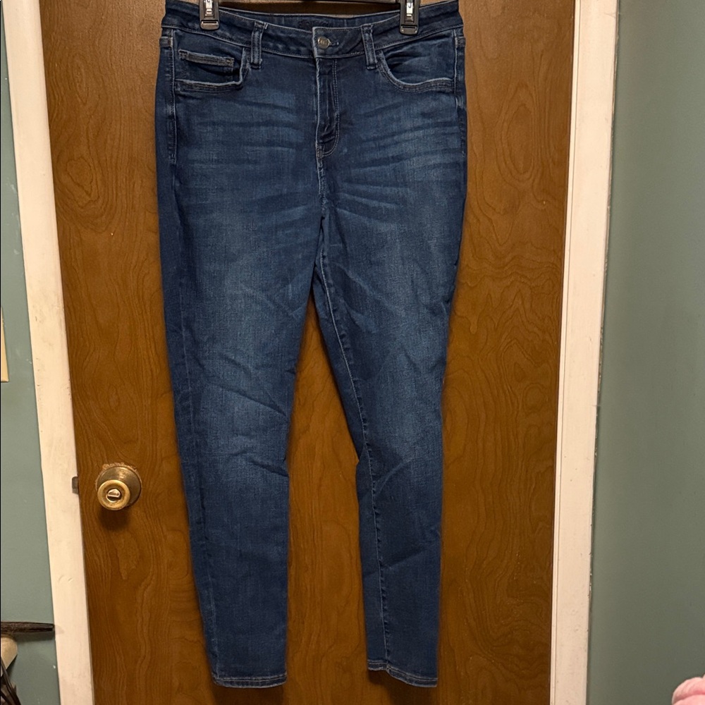 Arizona Jean Co Mid-Rise Skinny Blue Jeans Size 13